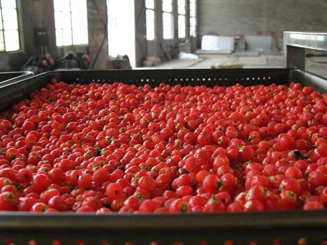 DW系列帶式干燥機(jī)